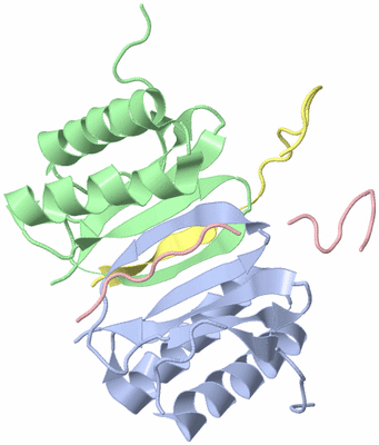 Image NMR Structure - model 1