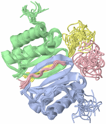 Image NMR Structure - all models