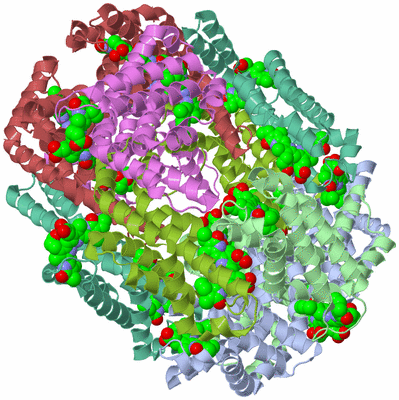 Image Biological Unit 1