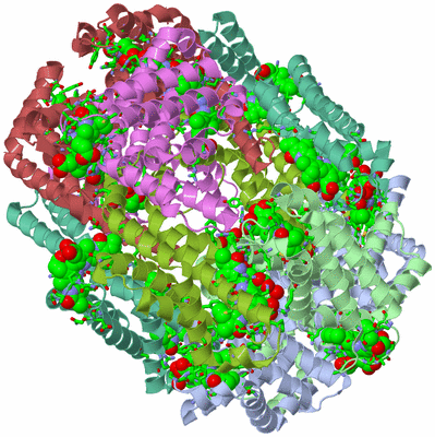 Image Biol. Unit 1 - sites