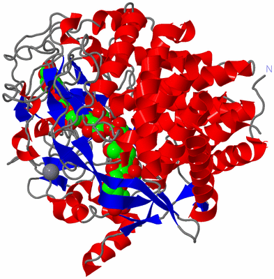 Image Asym./Biol. Unit