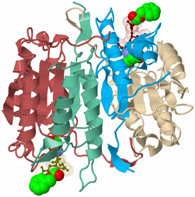 Image Biological Unit 3