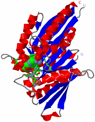 Image Asym./Biol. Unit - sites