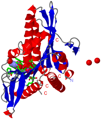 Image Asym./Biol. Unit - sites