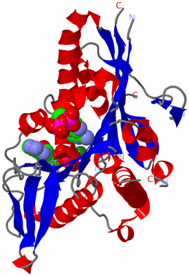 Image Asym./Biol. Unit