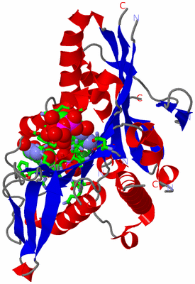 Image Asym./Biol. Unit - sites