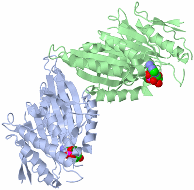 Image Asym./Biol. Unit