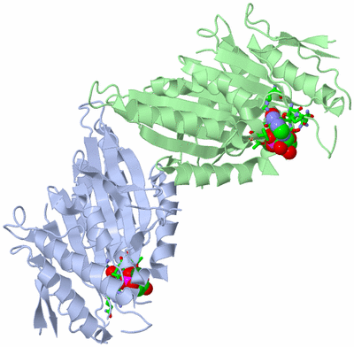 Image Asym./Biol. Unit - sites