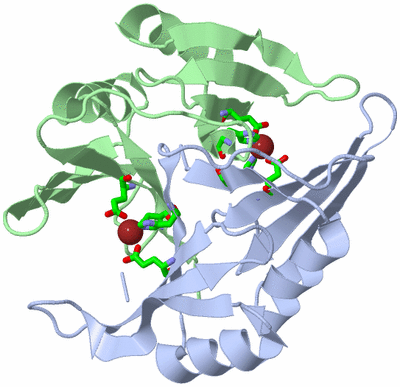 Image Asym./Biol. Unit - sites
