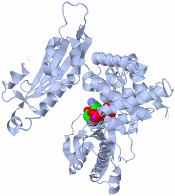 Image Biological Unit 1