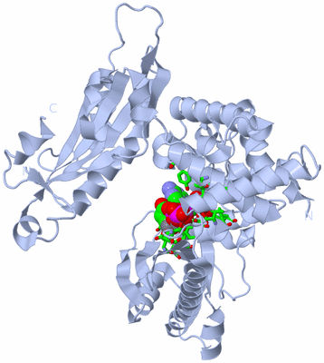 Image Biol. Unit 1 - sites