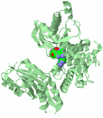 Image Biological Unit 2