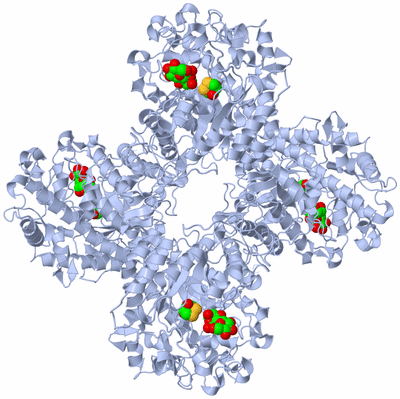 Image Biological Unit 1