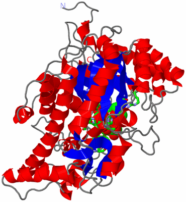 Image Asym. Unit - sites