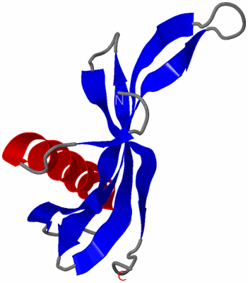 Image NMR Structure - model 1