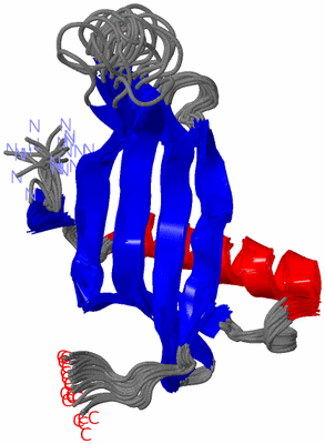 Image NMR Structure - all models