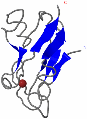 Image NMR Structure - model 1