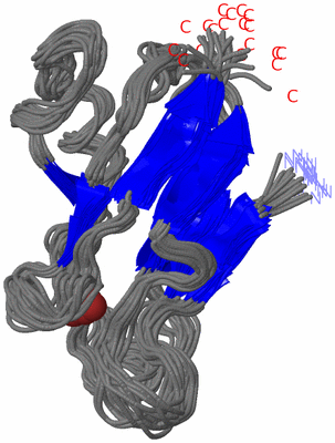 Image NMR Structure - all models