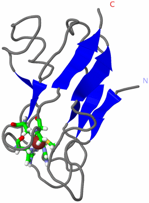 Image NMR Structure - model 1, sites