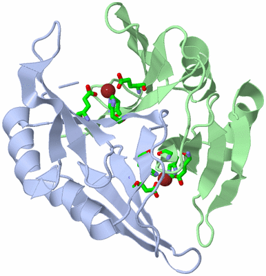 Image Asym./Biol. Unit - sites