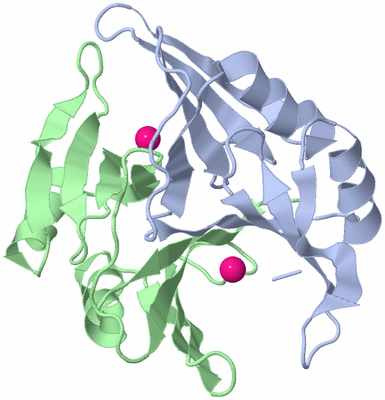 Image Asym./Biol. Unit