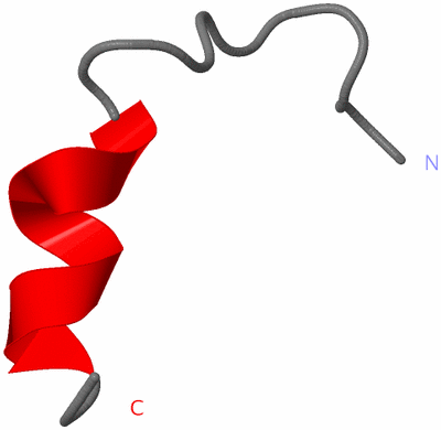 Image NMR Structure - model 1