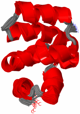 Image NMR Structure - all models