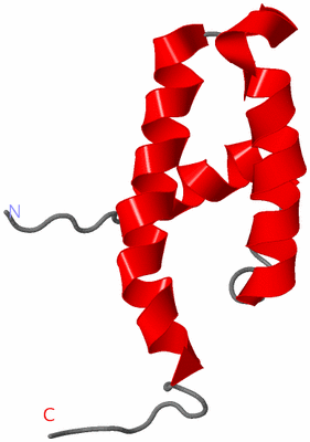Image NMR Structure - model 1