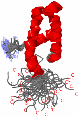 Image NMR Structure - all models