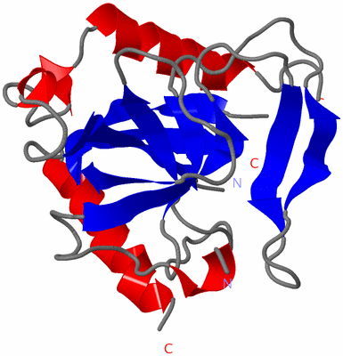Image Asymmetric Unit
