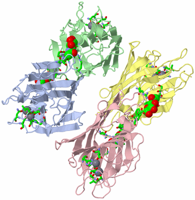 Image Asym./Biol. Unit - sites