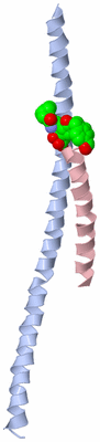 Image Asymmetric Unit