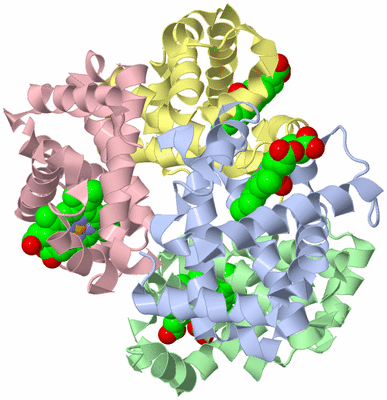 Image Asym./Biol. Unit