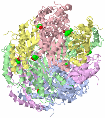 Image Biological Unit 1