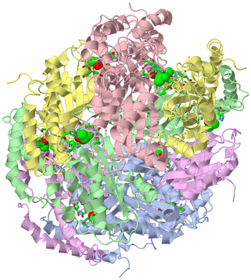 Image Biol. Unit 1 - sites