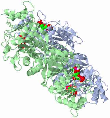 Image Biological Unit 1