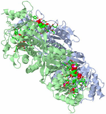 Image Biol. Unit 1 - sites