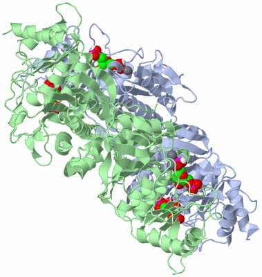 Image Biological Unit 1