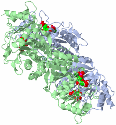 Image Biological Unit 1