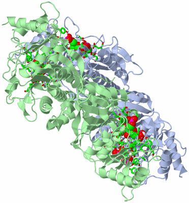 Image Biol. Unit 1 - sites