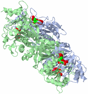 Image Biological Unit 1