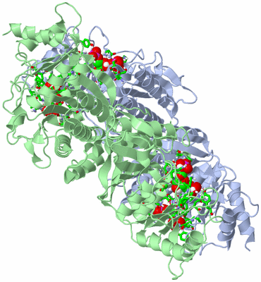 Image Biol. Unit 1 - sites