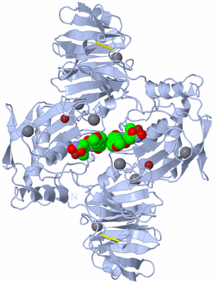 Image Biological Unit 1