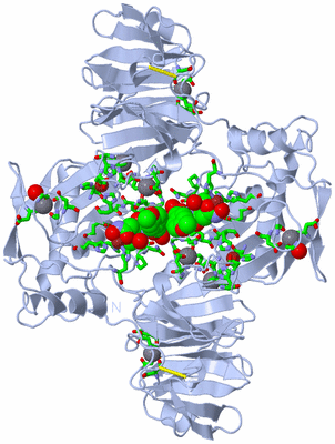 Image Biol. Unit 1 - sites