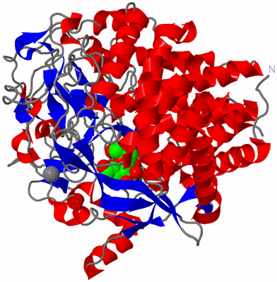 Image Asym./Biol. Unit