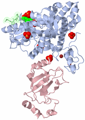 Image Asym./Biol. Unit