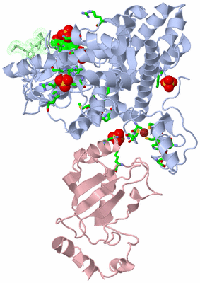 Image Asym./Biol. Unit - sites