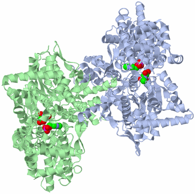 Image Asym./Biol. Unit