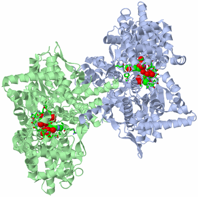 Image Asym./Biol. Unit - sites