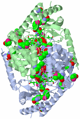 Image Asym./Biol. Unit - sites